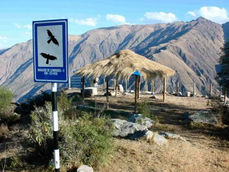 Cóndores y Glaciares: 2 Días de Naturaleza Pura en Cusco